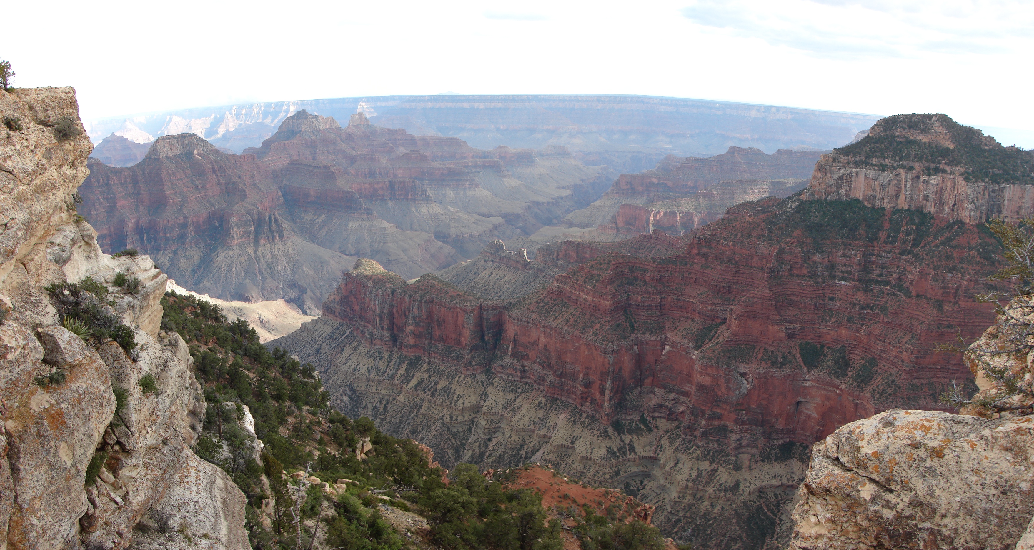Grand Canyon - North Rim Panorama