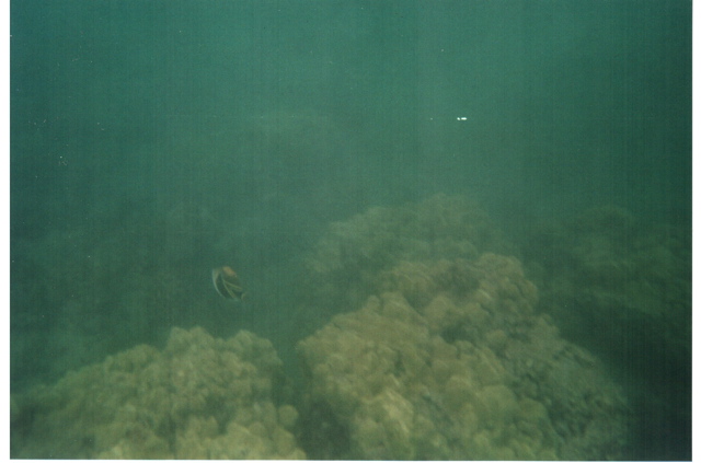 Hanauma Bay