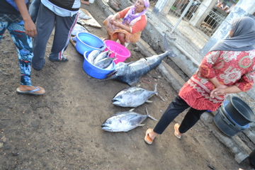 Lombok Fish Market