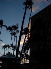 Waikiki Evening