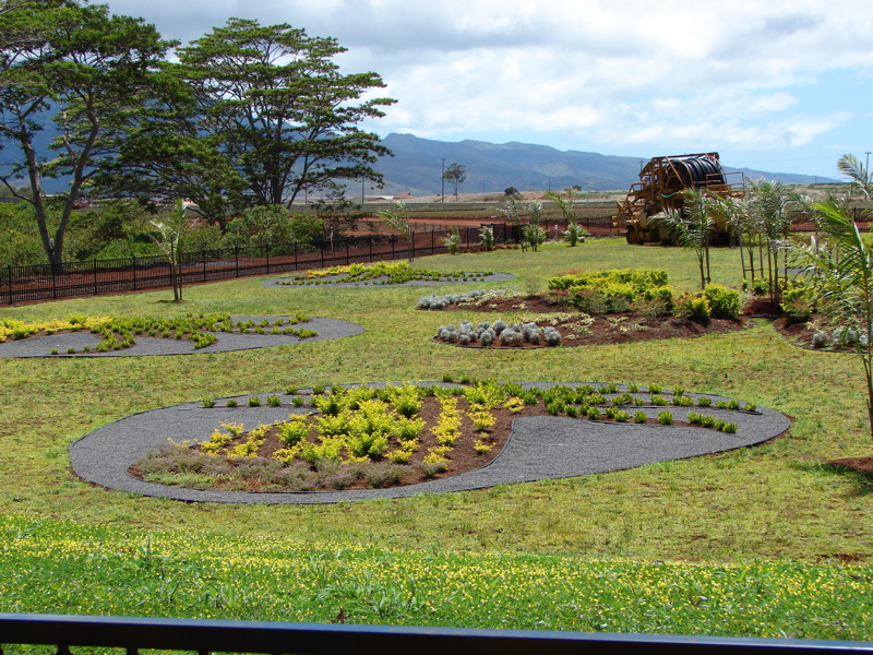 Dole Pineapple Plantation