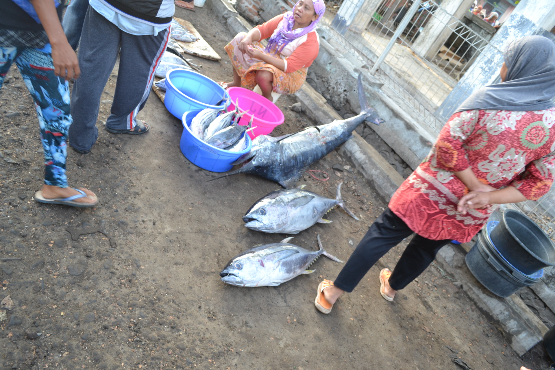 Lombok Fish Market